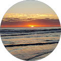 Raymond C. profile picture